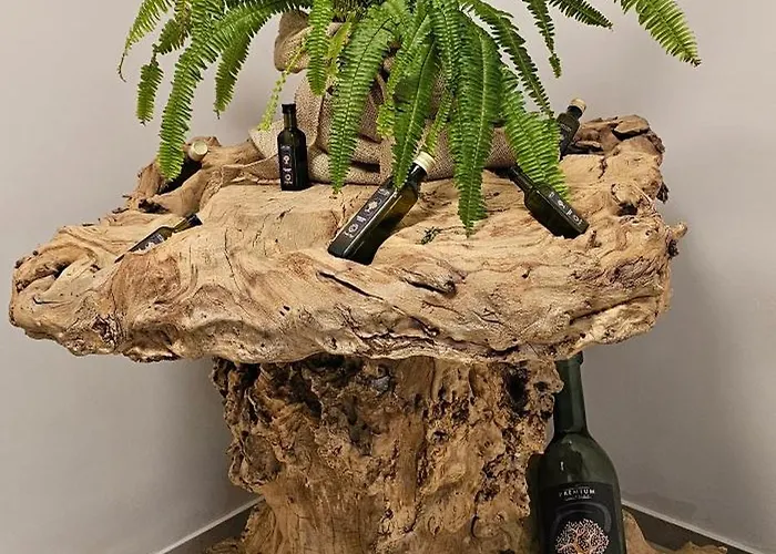 Bed & Breakfast Oliane &